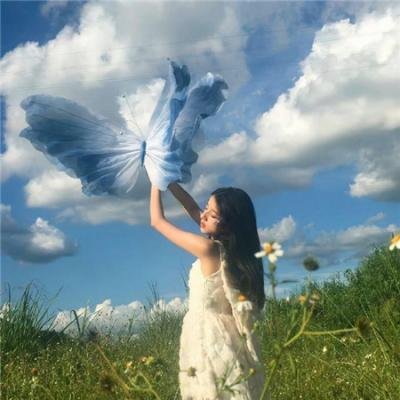 同志梦幻号
