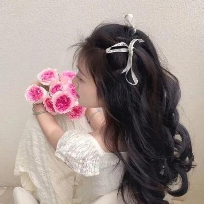 蜡笔小新：幽灵忍者珍风传